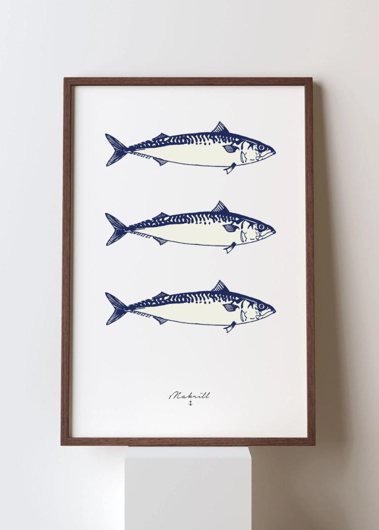 Secondary product image for "Poster Mackerel"