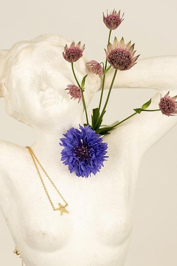 Secondary product image for "Halsband Sjöstjärna Guld"