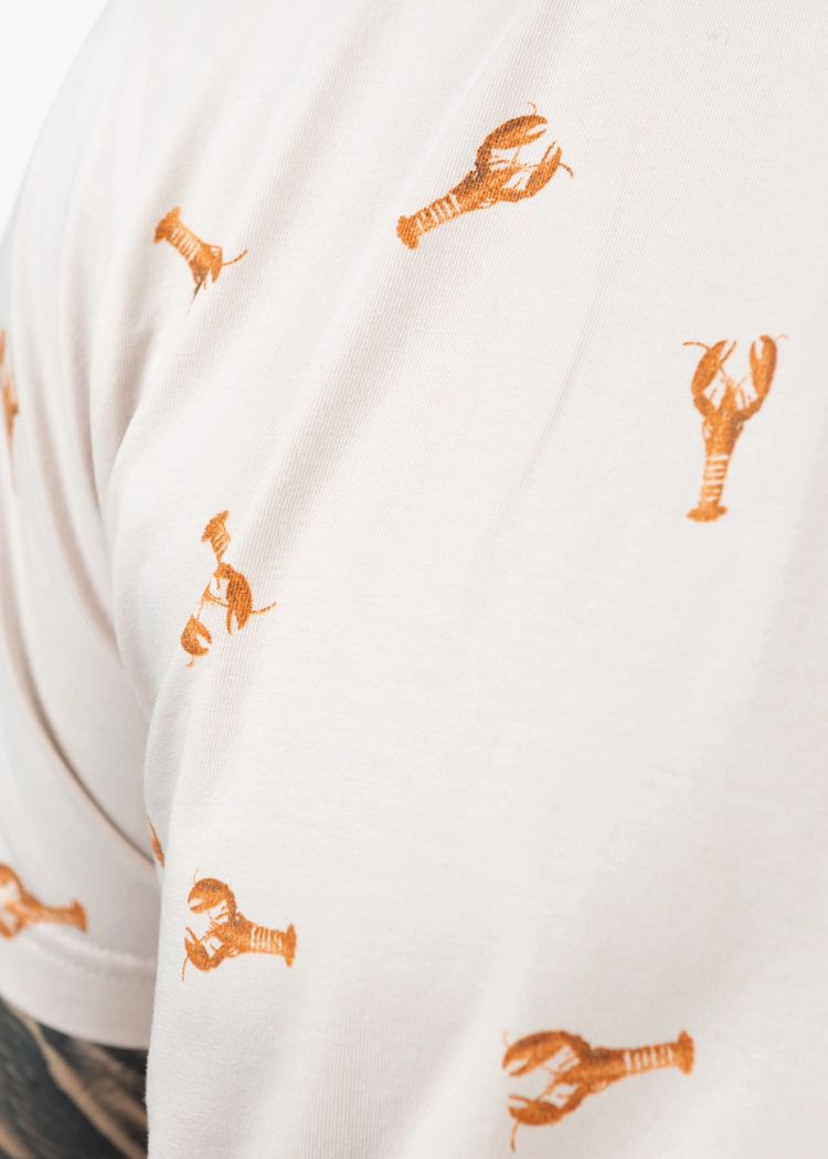 Secondary product image for "T-shirt Hummer Beige"