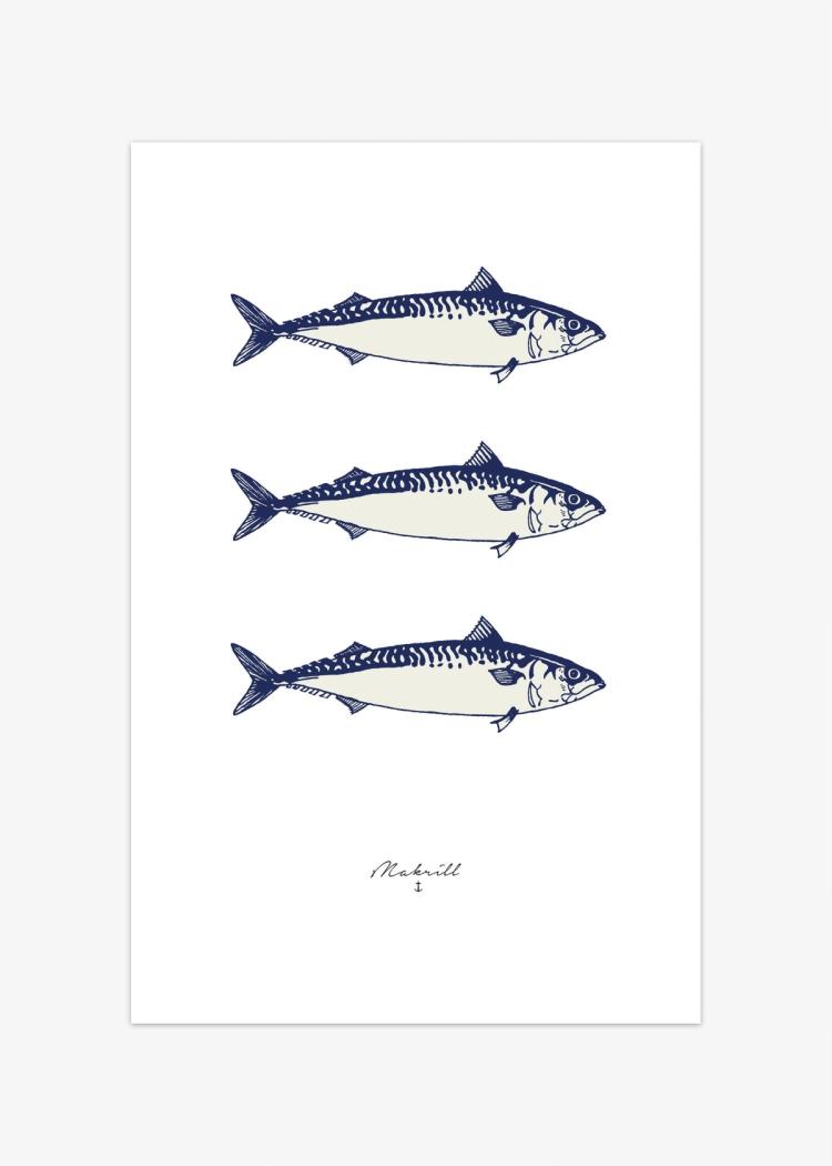 Secondary product image for "Poster Mackerel"