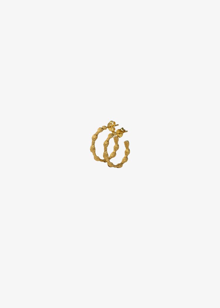 Secondary product image for "Örhänge Tång Guld"