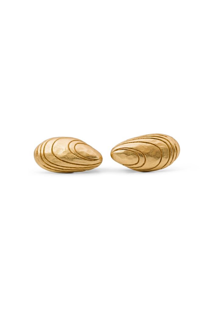 Secondary product image for "Örhänge Blåmussla Guld"