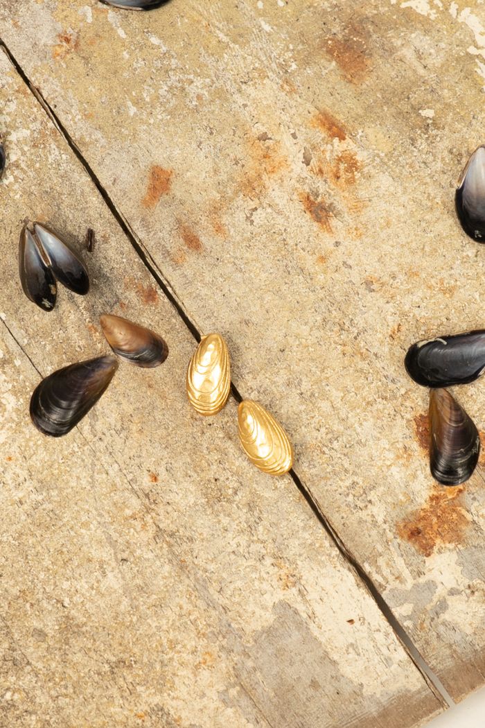 Secondary product image for "Örhänge Blåmussla Guld"