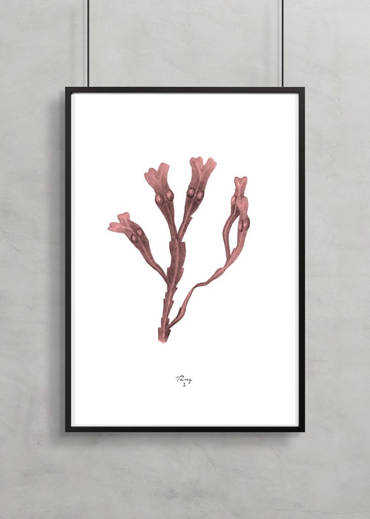 Secondary product image for "Poster Tång Gammelrosa"