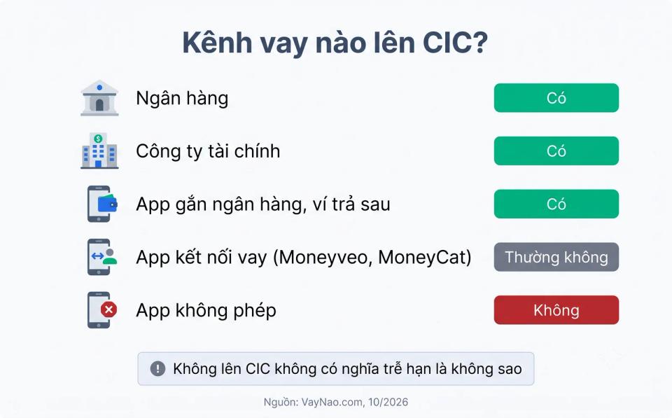 Cách kiểm tra khoản vay Moneyveo có lên CIC không - đọc hợp đồng và tra CIC miễn phí