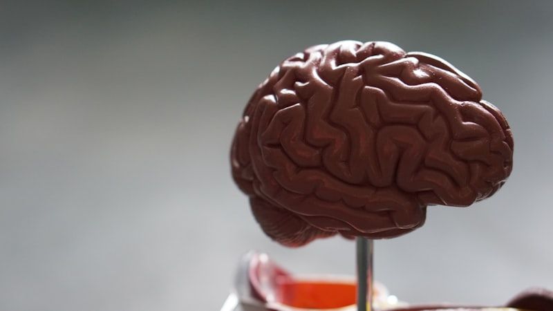 NeuroRevitalize