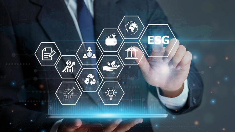 Treinamentos ESG nas empresas: por que capacitar pessoas é estratégico