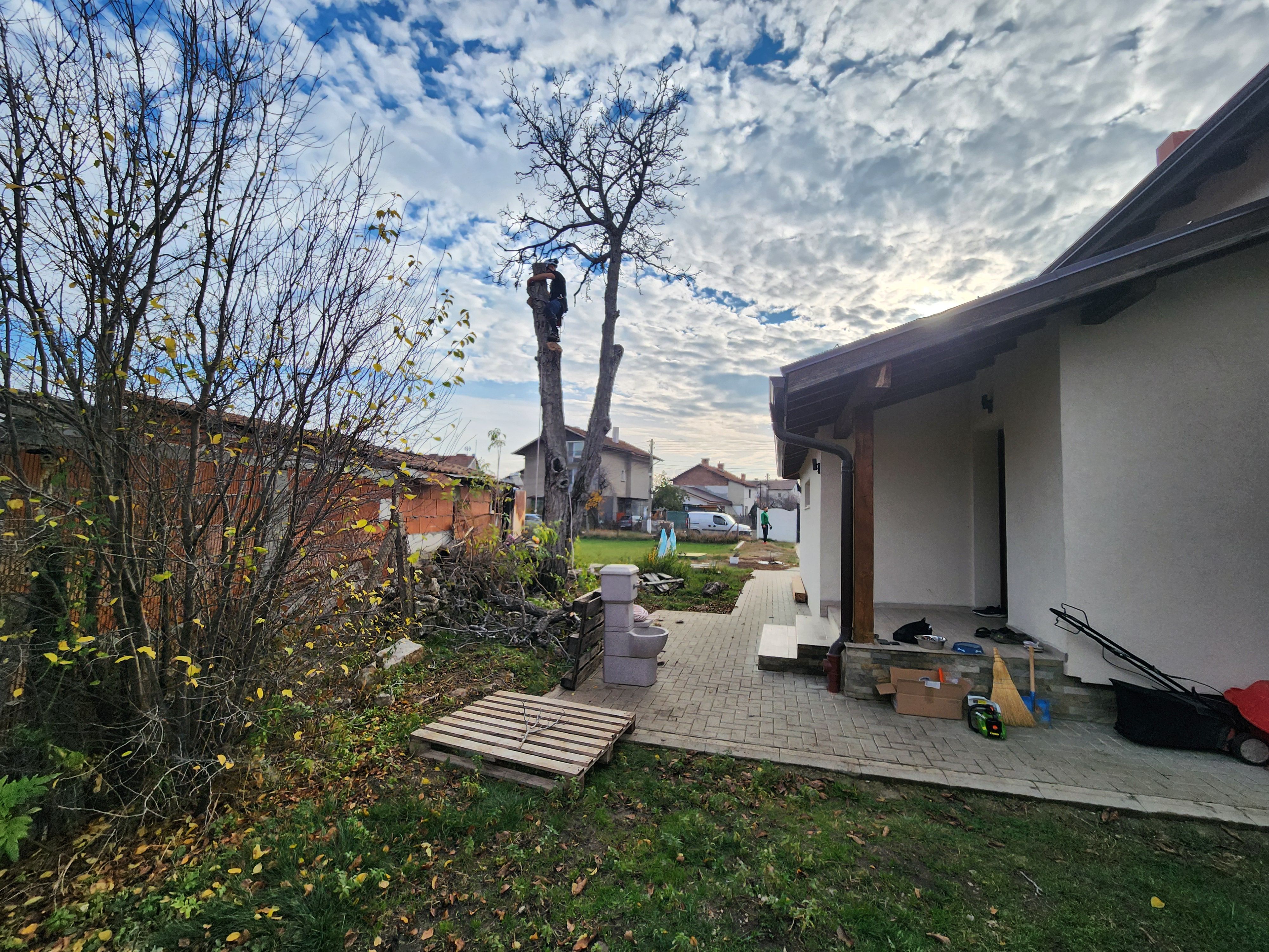 Премахване на Орех в гр.Сливница - Image 3