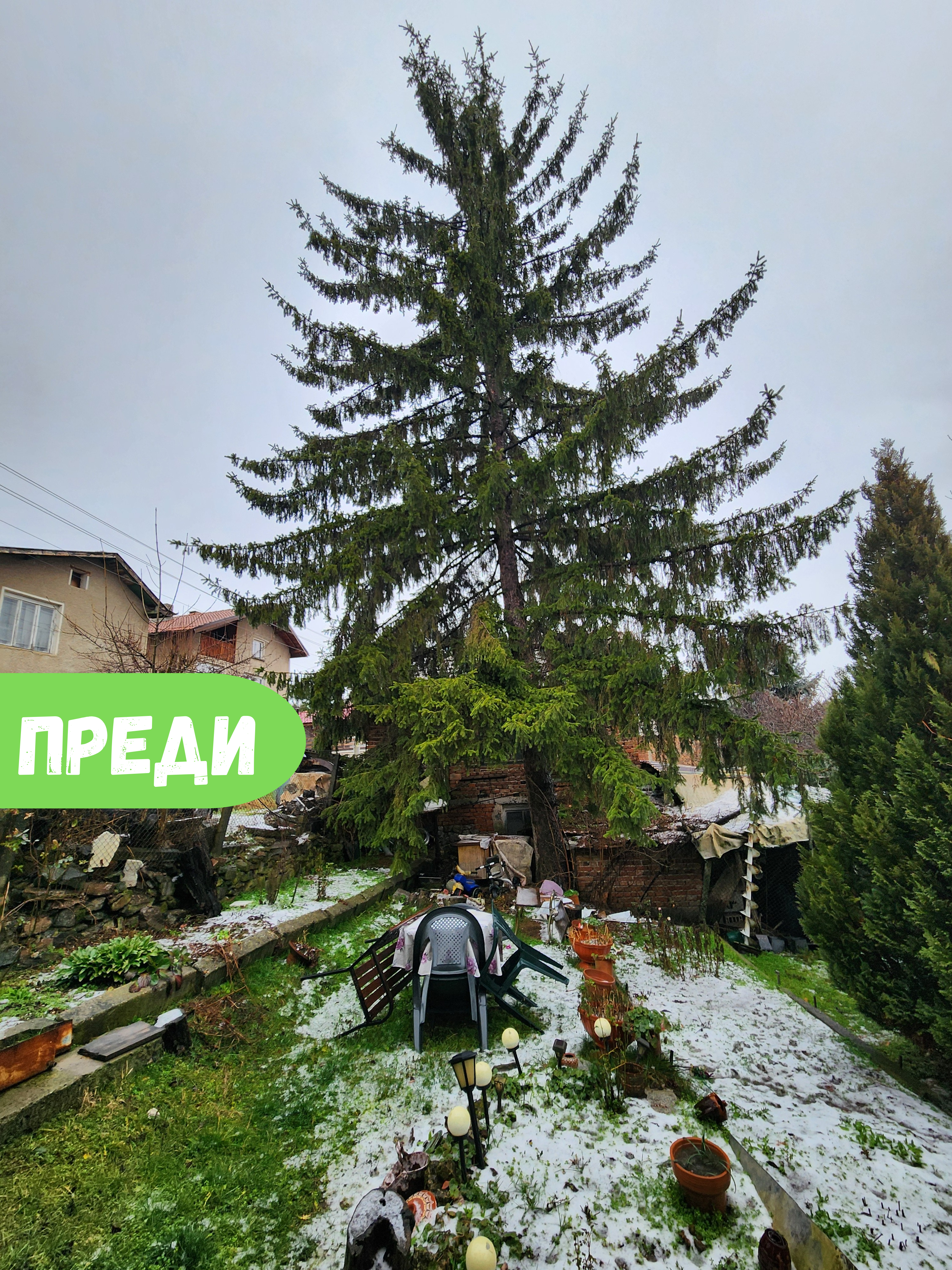 Премахване на Бор в с.Хераково - Image 1