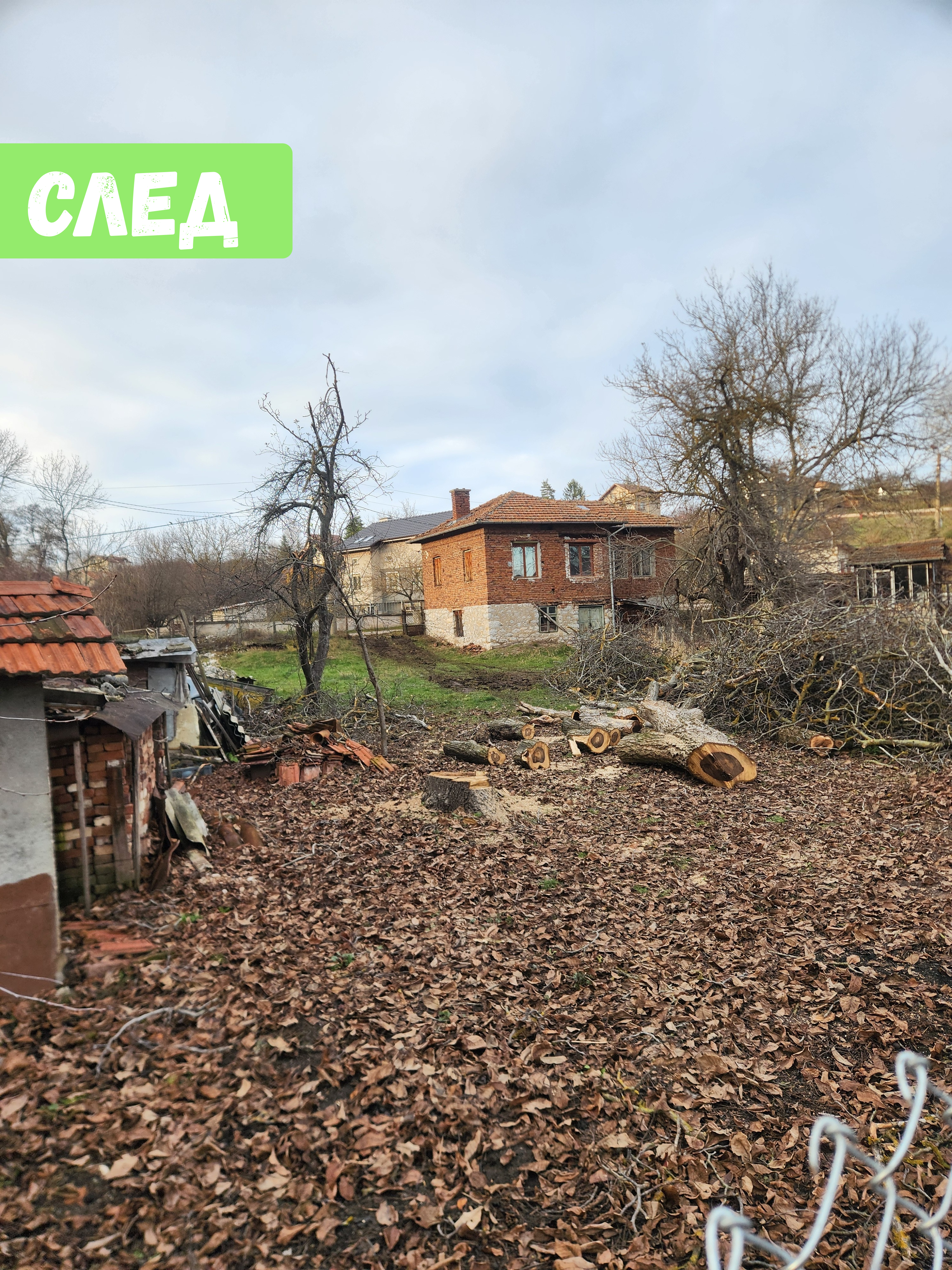 Премахване на два Ореха в с.Бърложница - Image 2