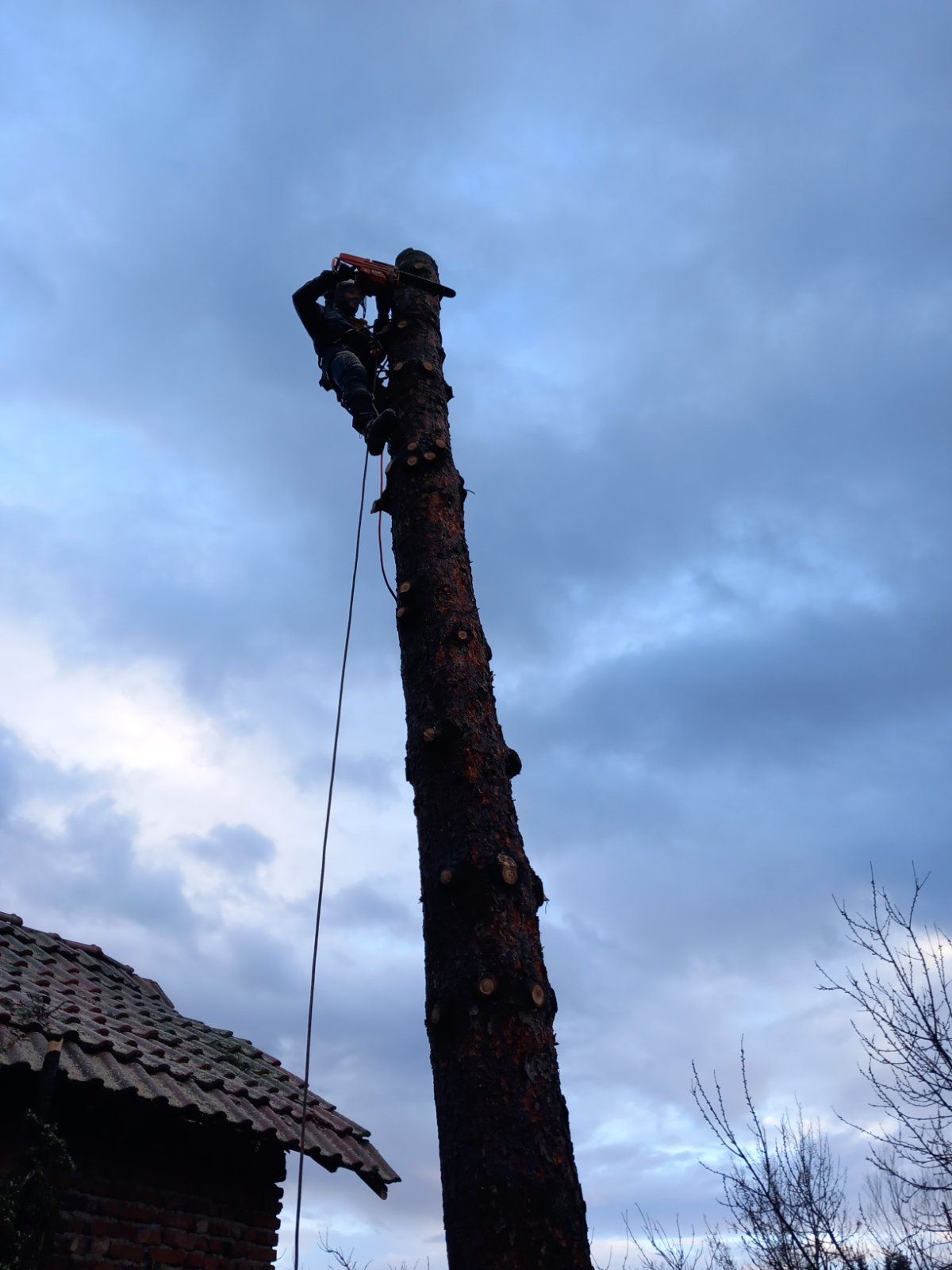 Премахване на Бор в с.Хераково - Image 4