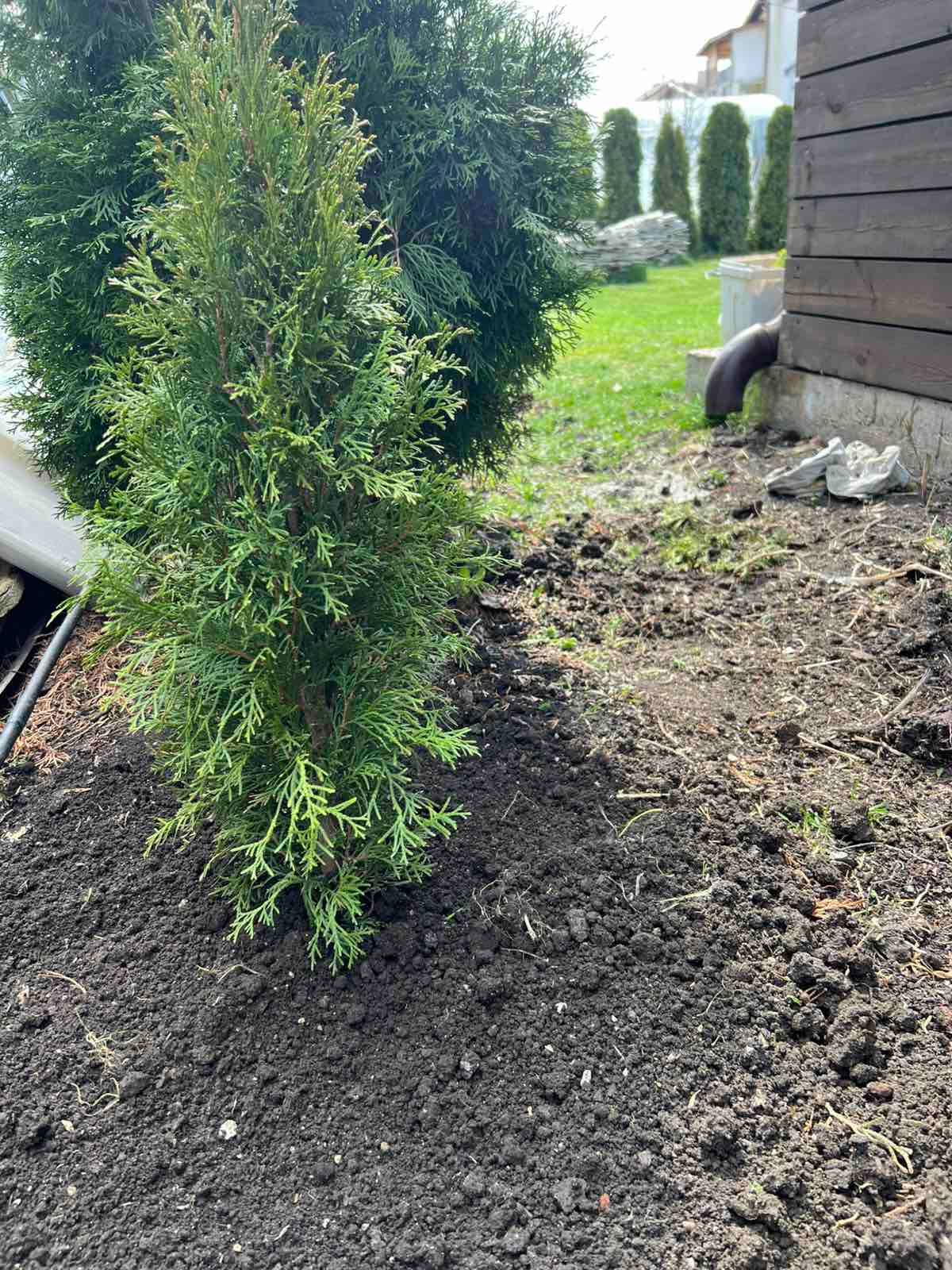 Абонаментна Поддръжка на двор - с.Волуяк - Image 4