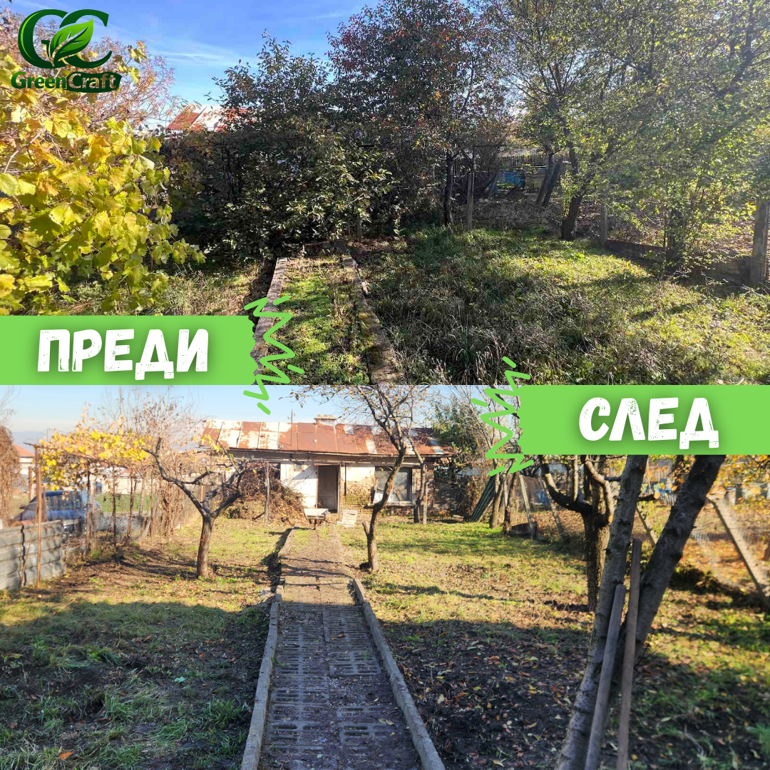 Цялостно разчистване на двор в гр.София - Image 2