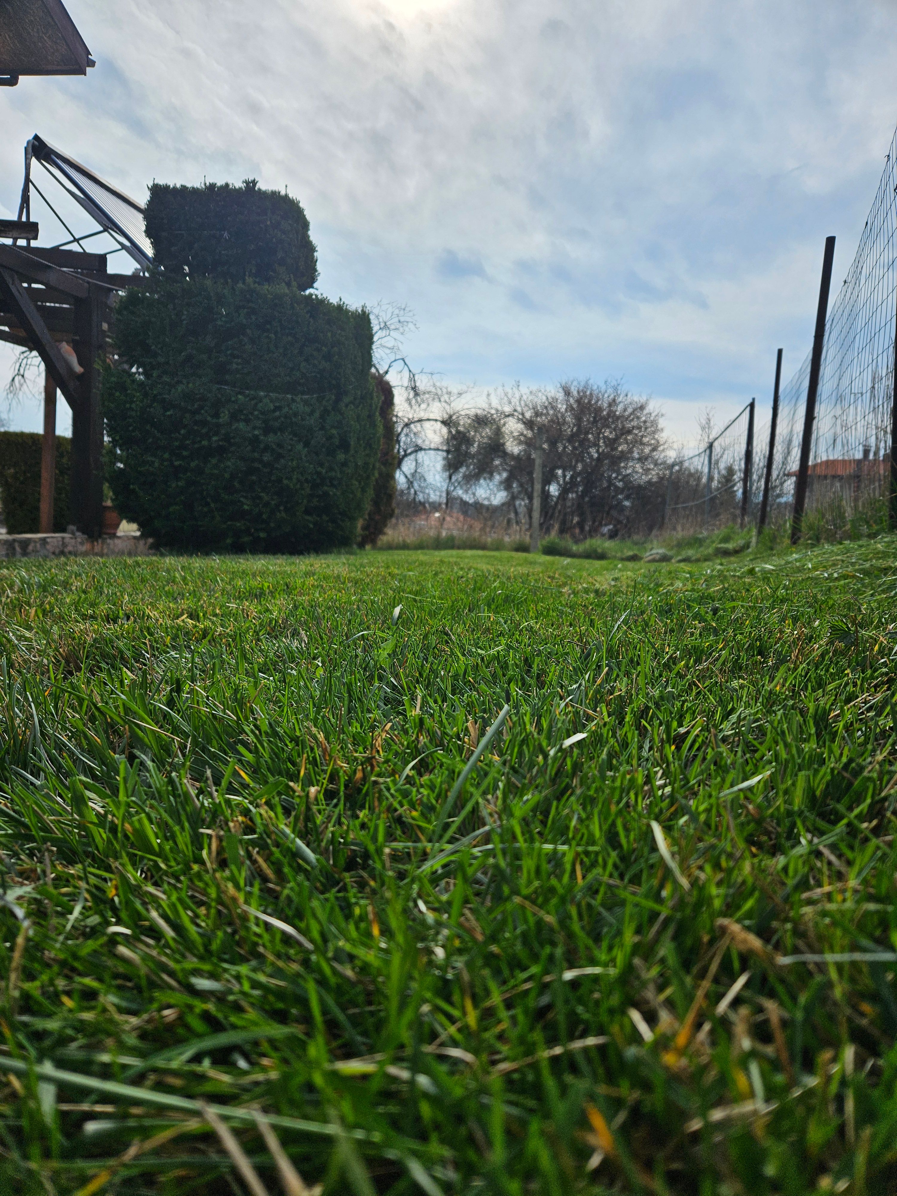 Абонаментна Поддръжка на двор - с.Хераково - Image 3