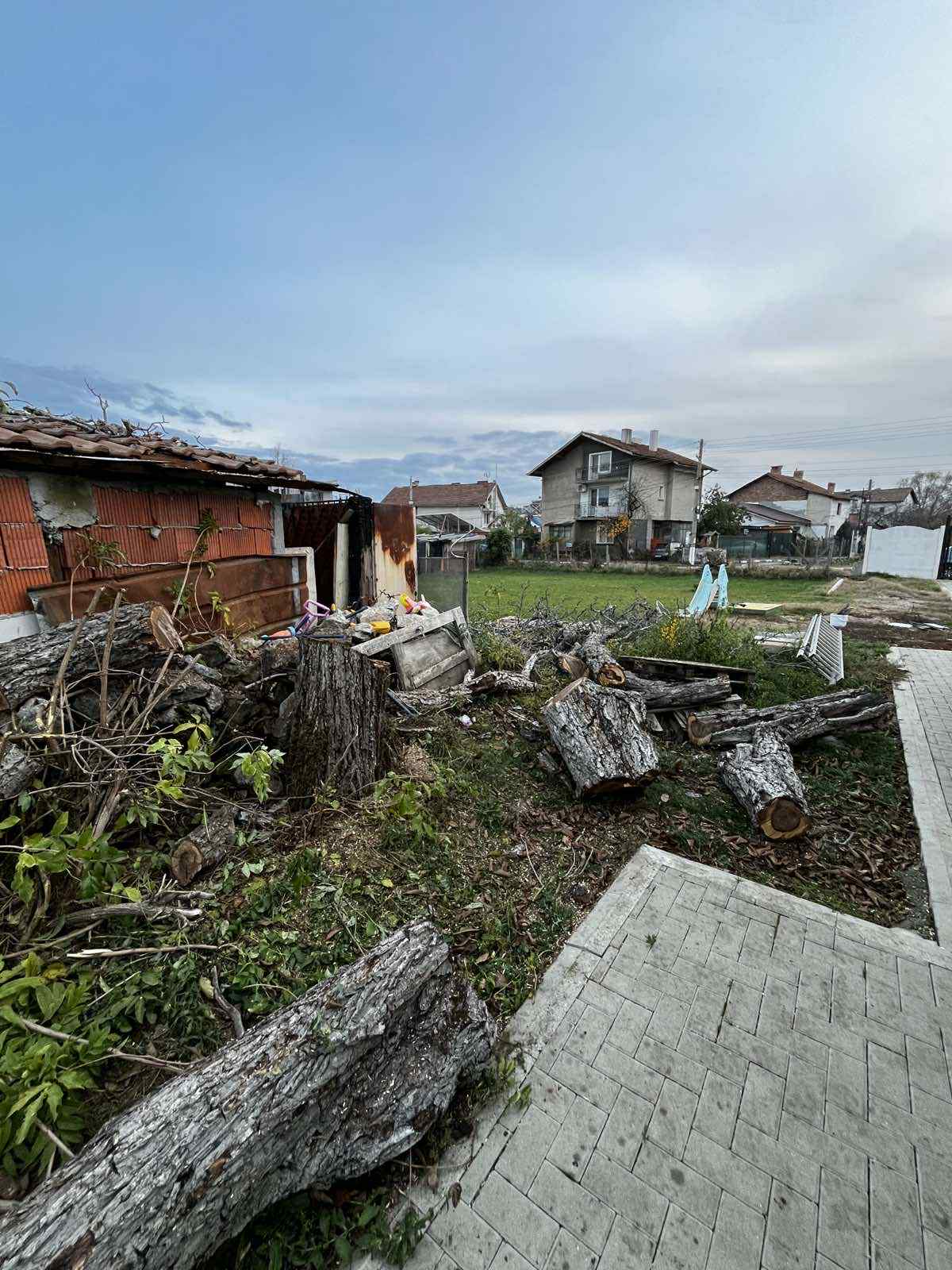 Премахване на Орех в гр.Сливница - Image 4