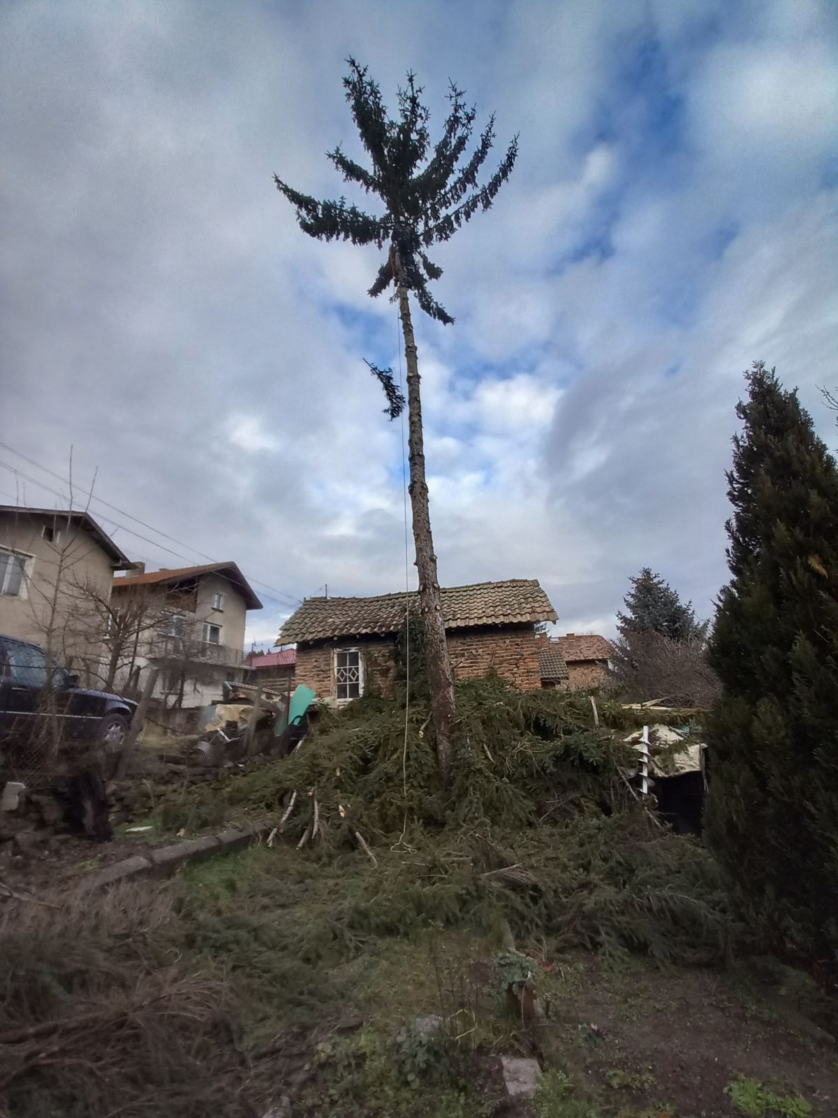 Премахване на Бор в с.Хераково - Image 3