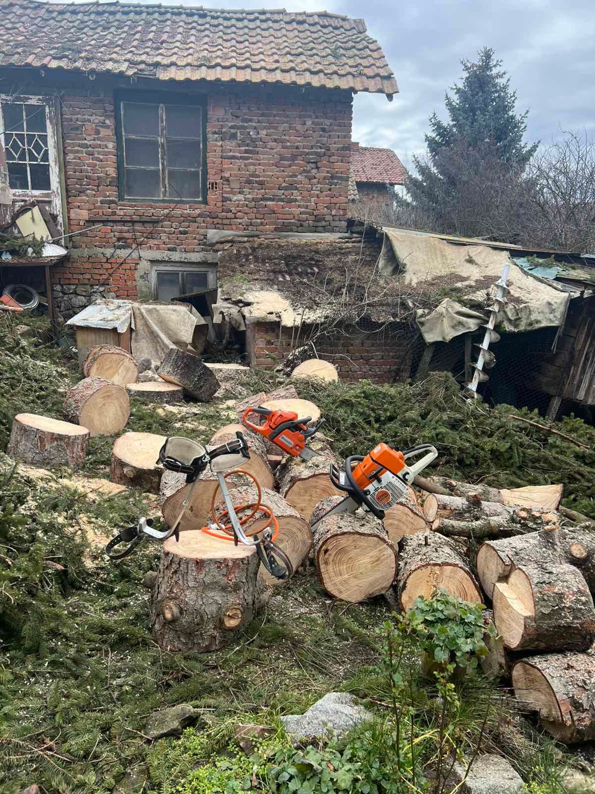 Премахване на Бор в с.Хераково - Image 5