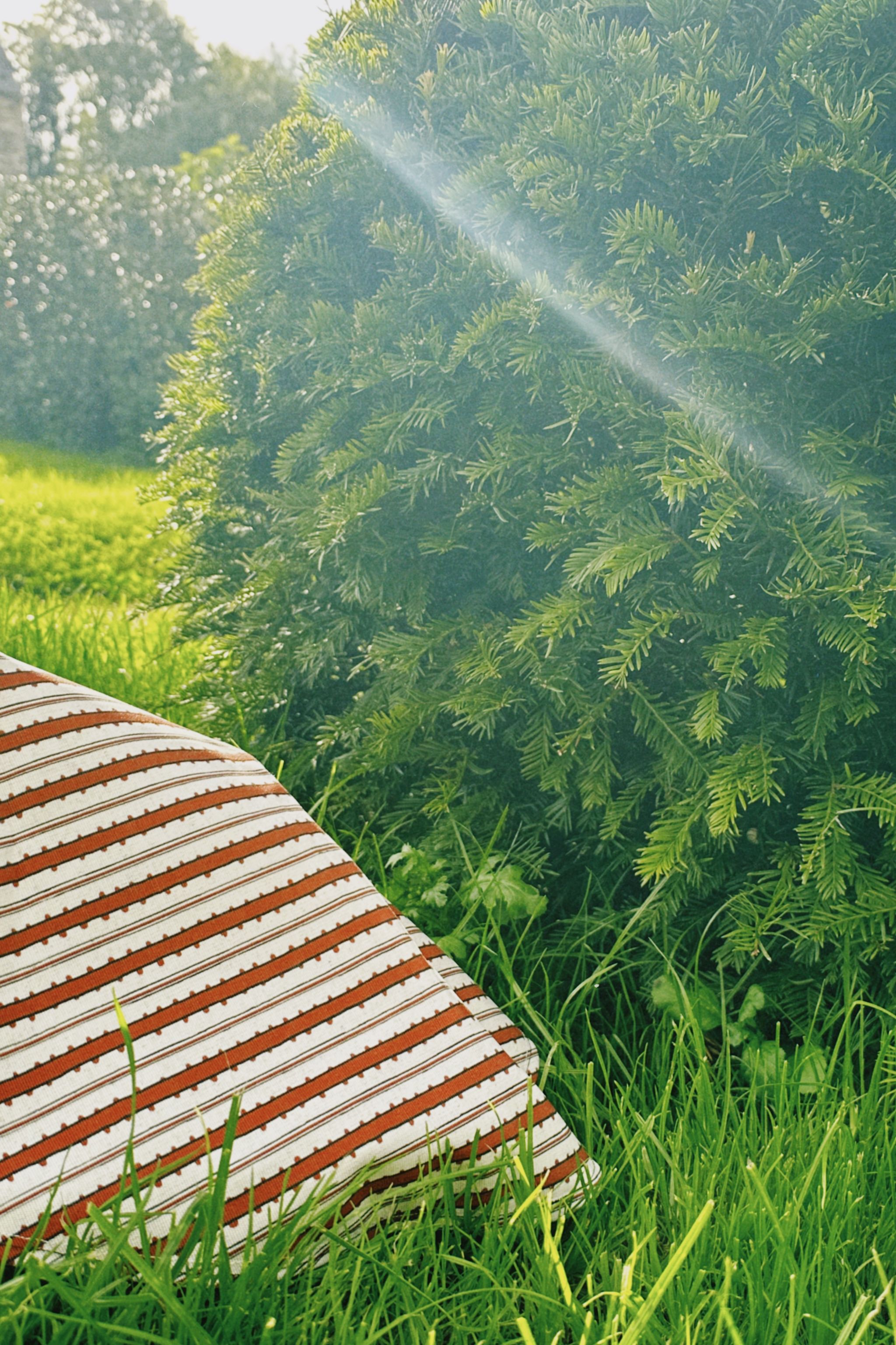 Bobbly Ribbon red in grass