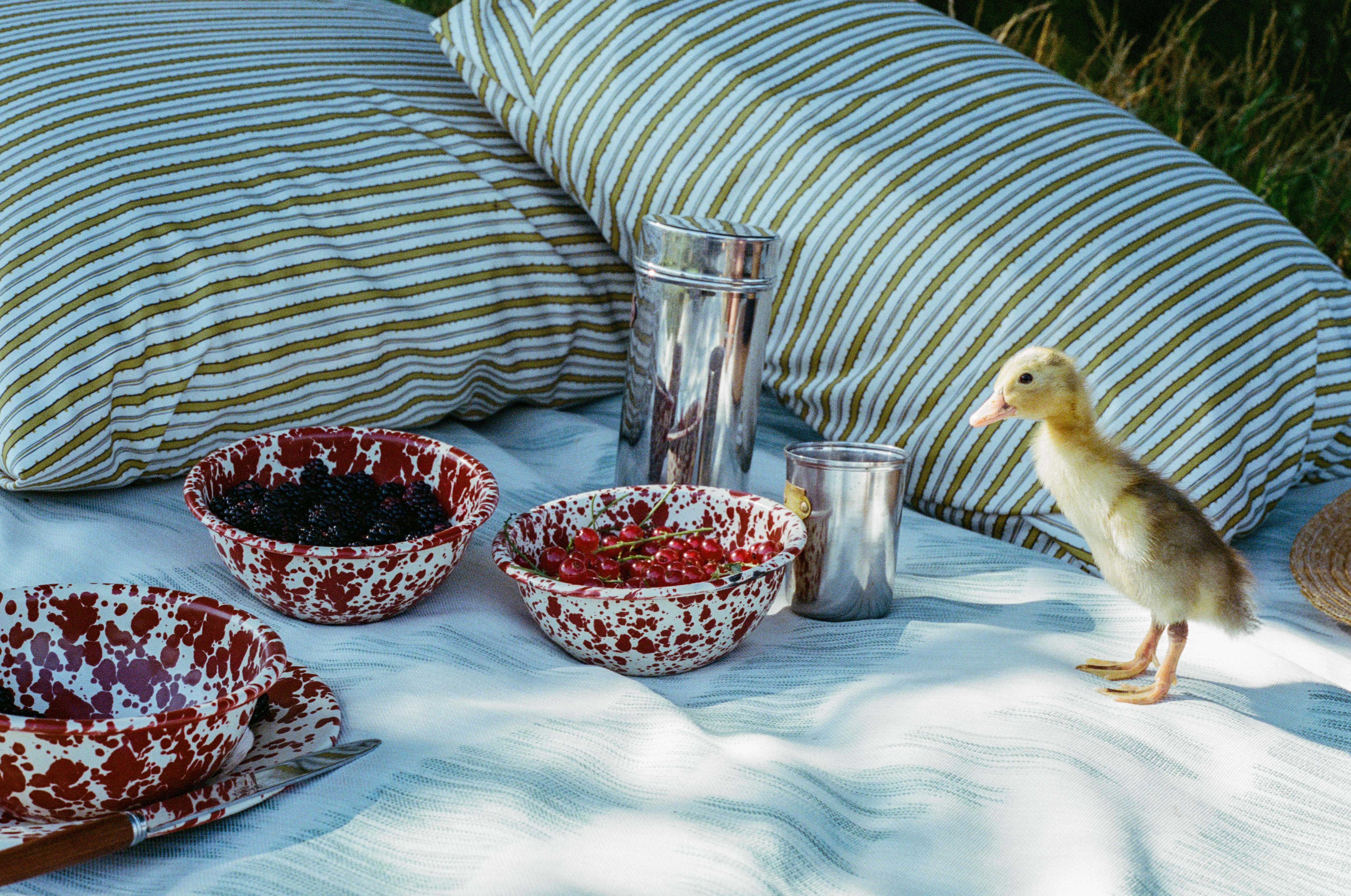 Duck on IKAT Indigo blue