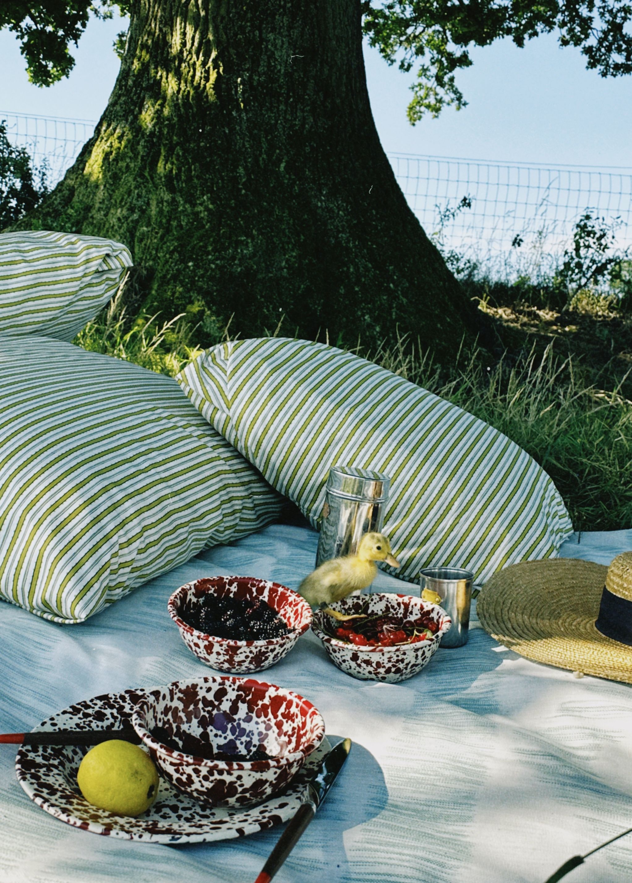 Bobbly Ribbon duck and pillow