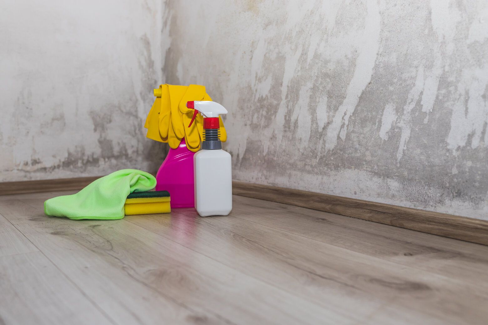 What Basement Moisture Can Indicate: Problems & Solutions