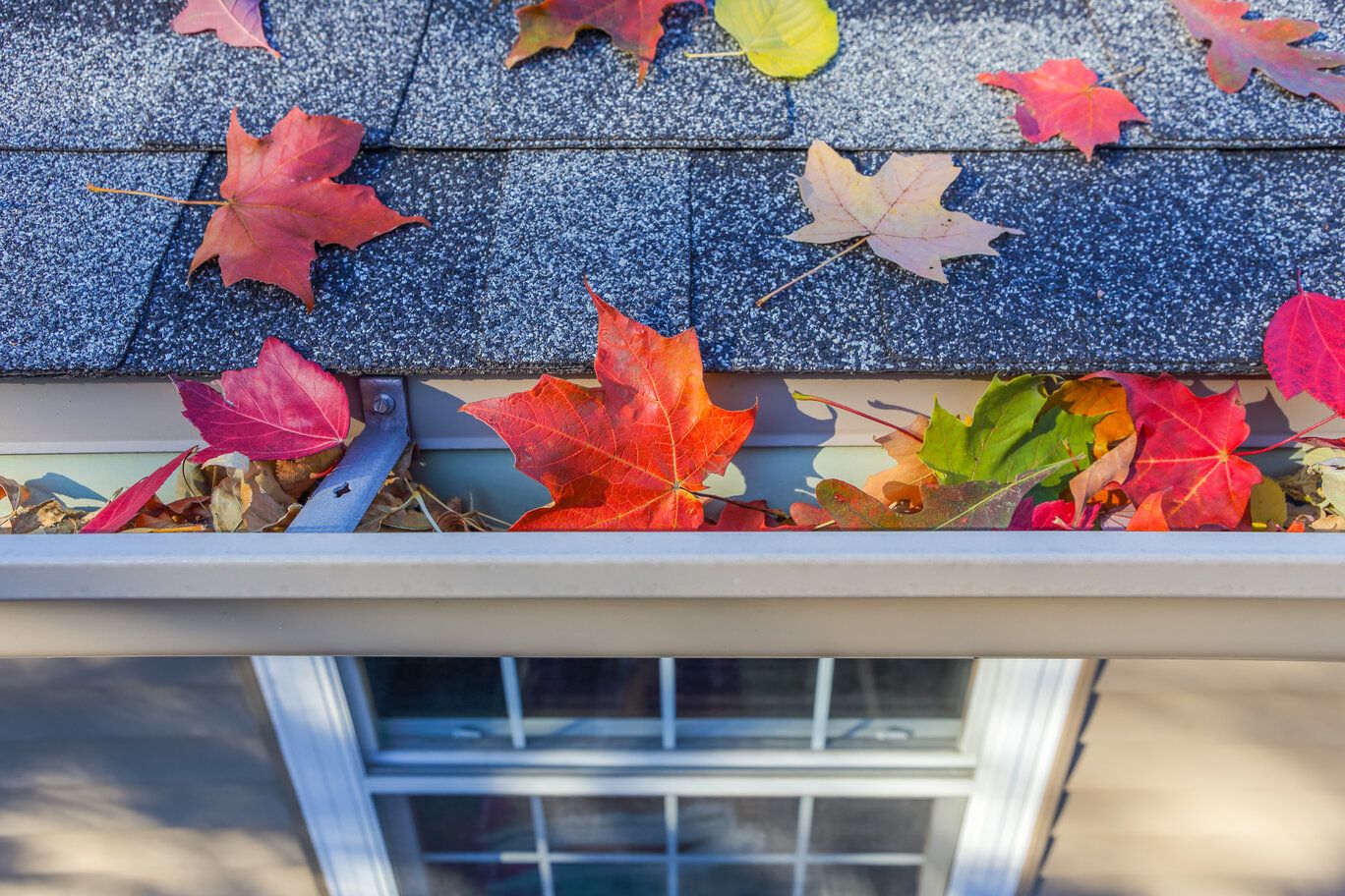 How to Prepare for Fall & Cut Your Home Energy Bill