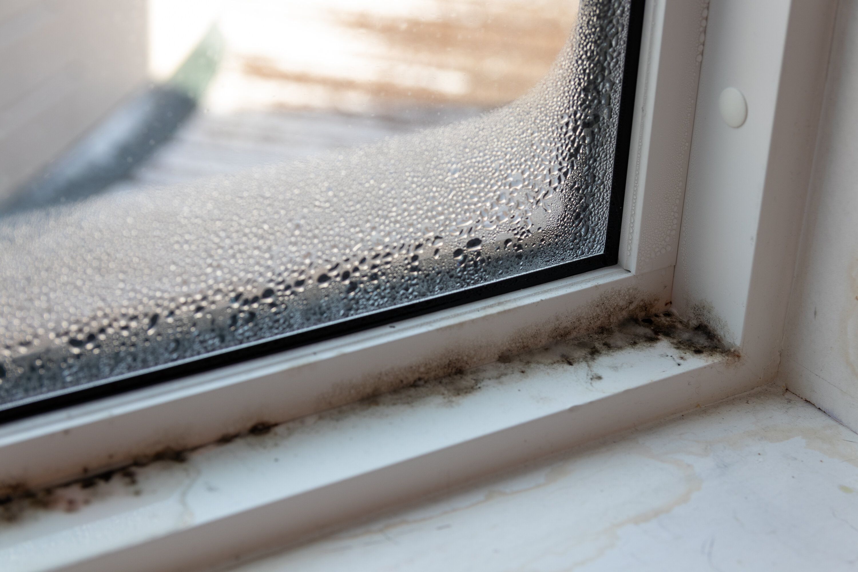 How a Huntsville Couple Solved Their Home’s Mold Problem—for Good