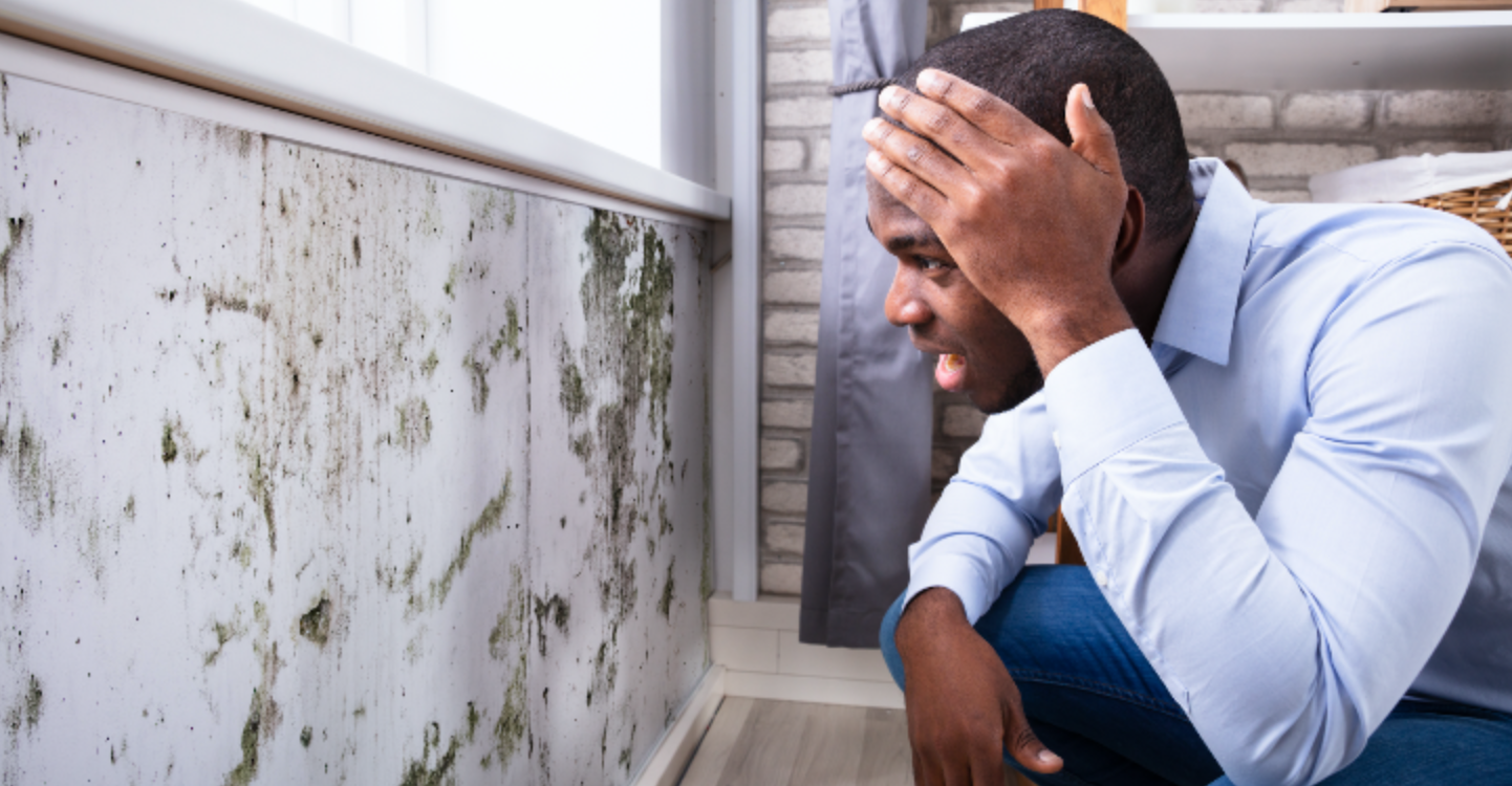 Household Molds Are Linked to Childhood Asthma—Here's What You Can Do
