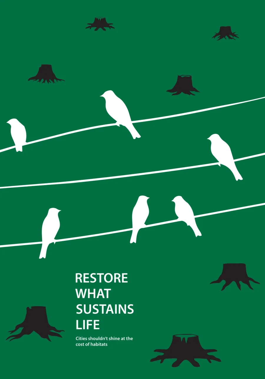 Planet Restoration