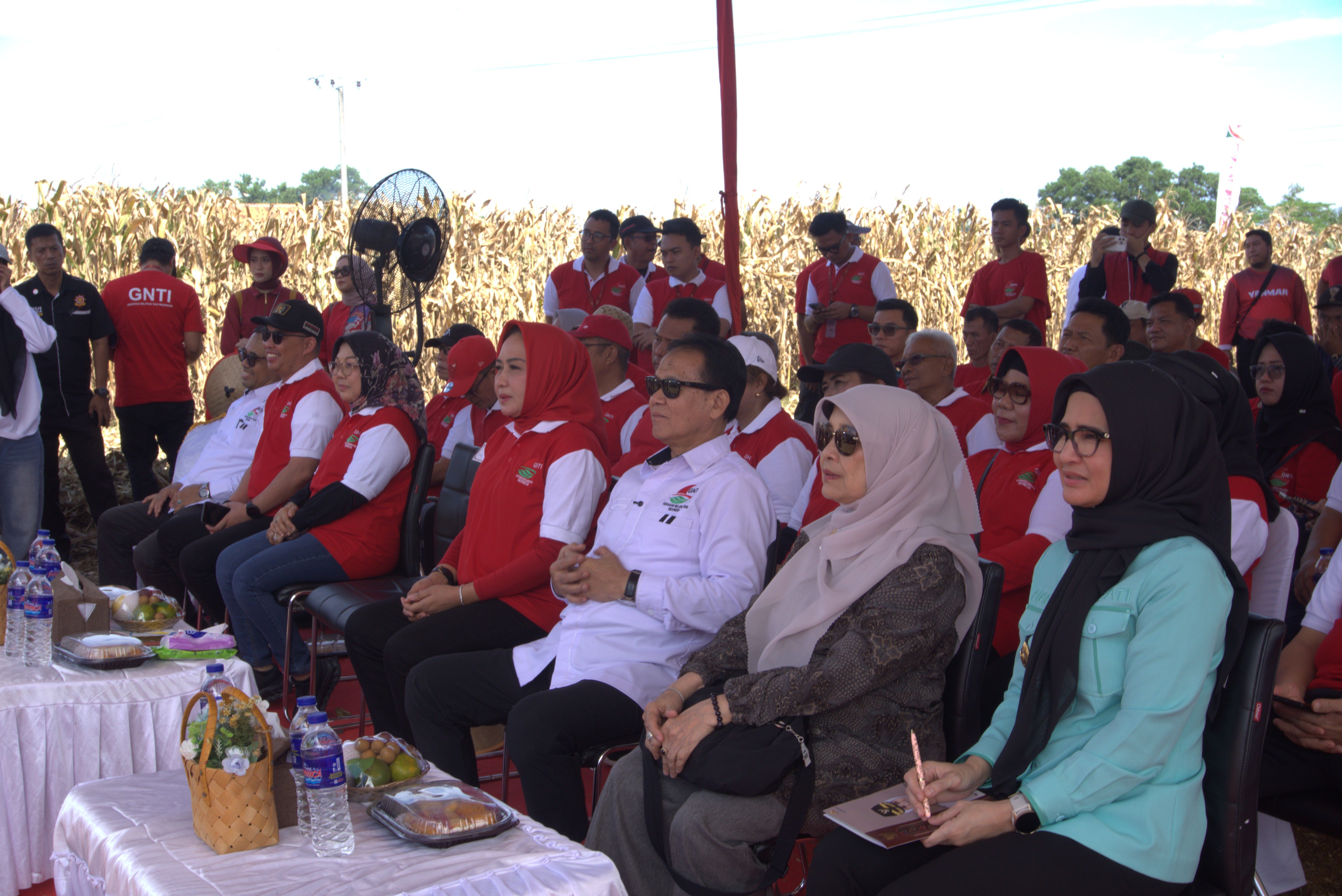Gambar sisipan berita