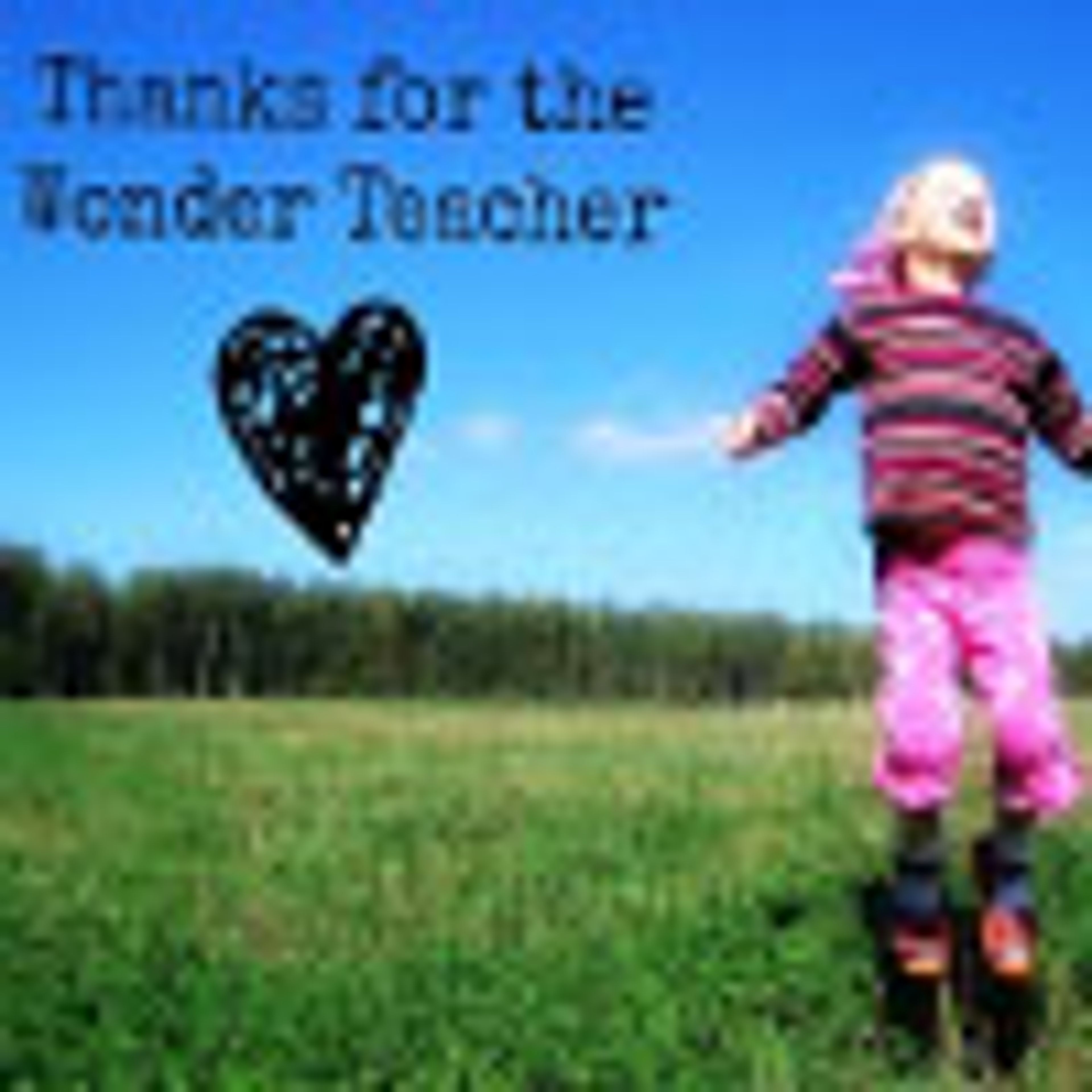 Wonder Teacher