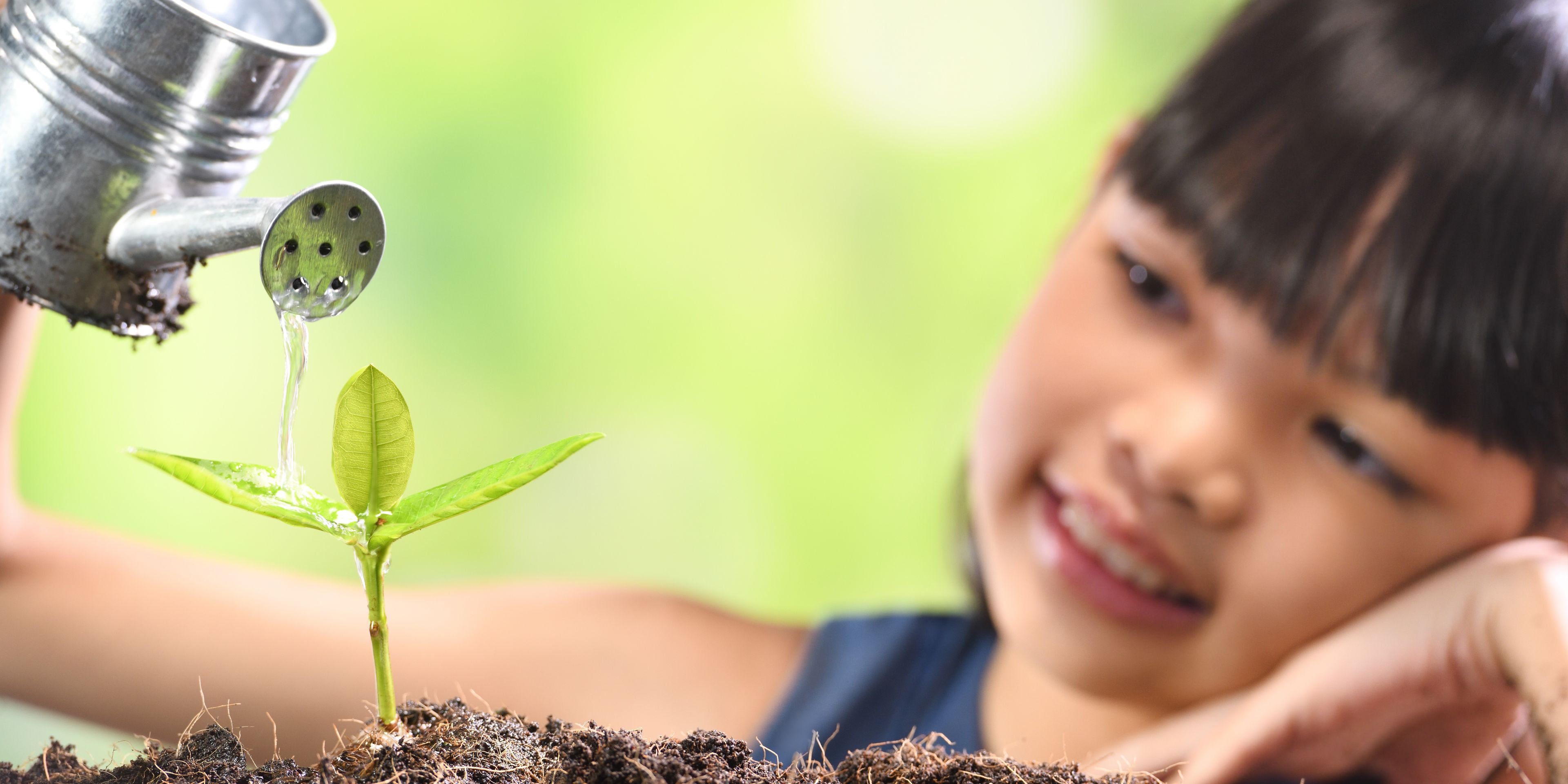 11 Plant Videos for PreK-3 Students