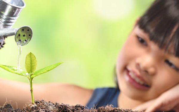 11 Plant Videos for PreK-3 Students