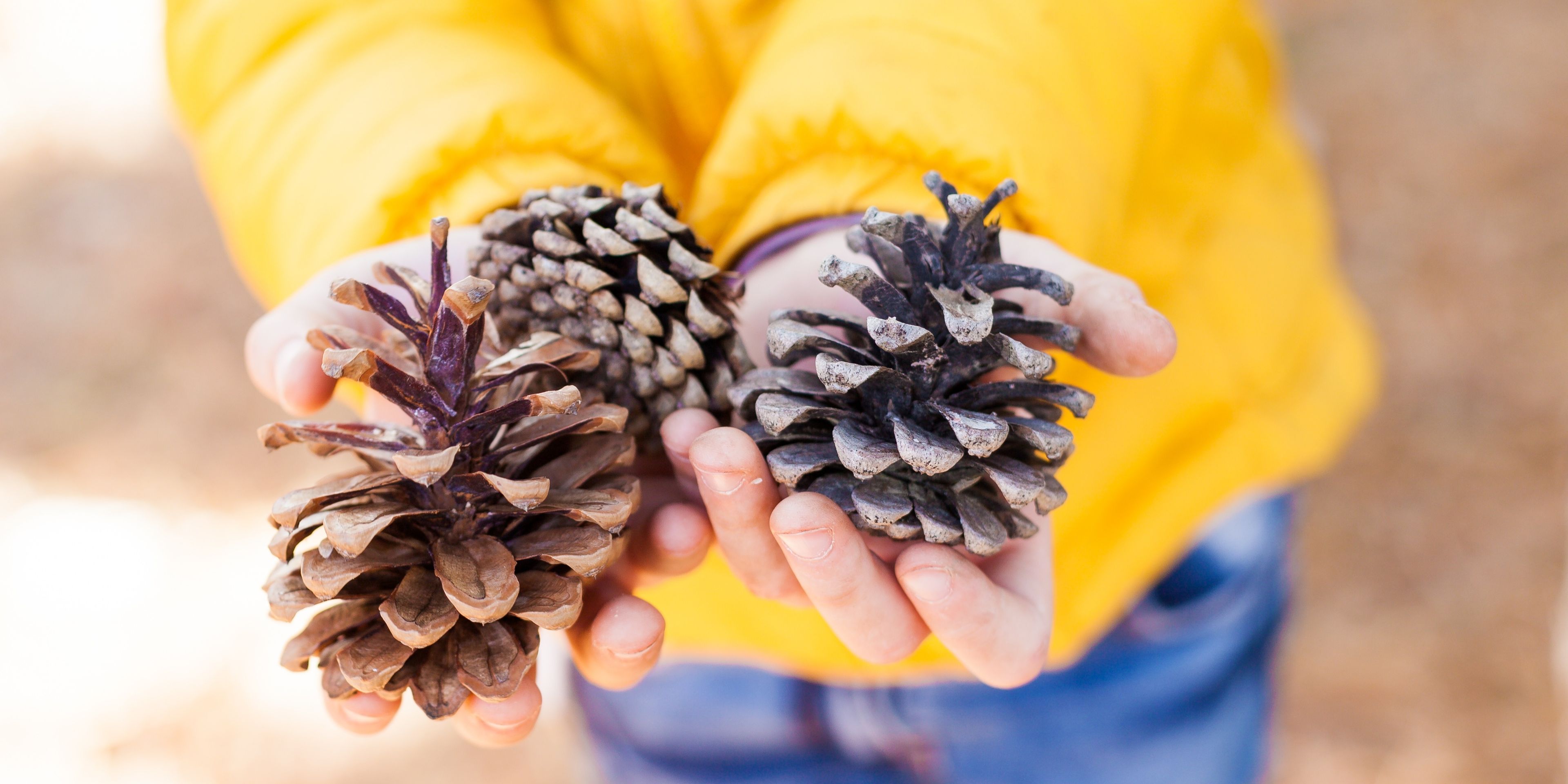 Outdoor Learning:  Let's Take It Outside!