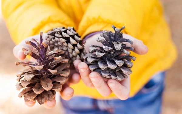 Outdoor Learning: Let's Take It Outside!