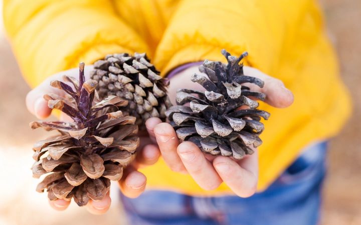 Outdoor Learning: Let's Take It Outside!