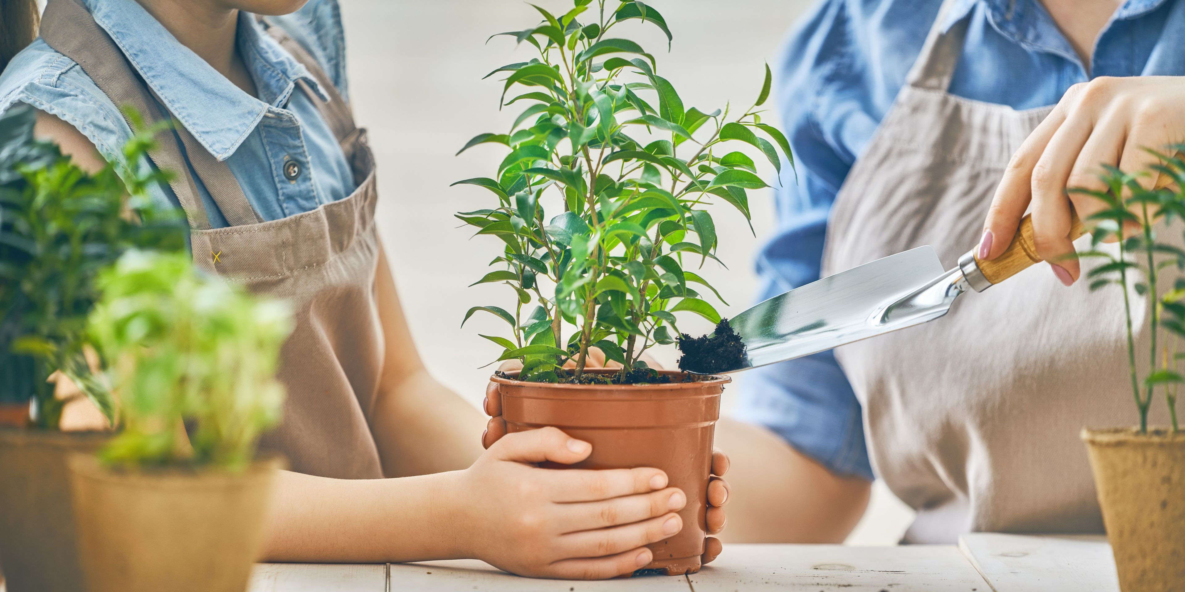 Combat COVID-19: Easy, At-Home Summer Learning