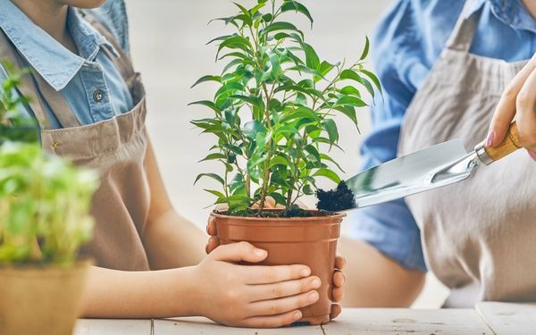 Combat COVID-19: Easy, At-Home Summer Learning