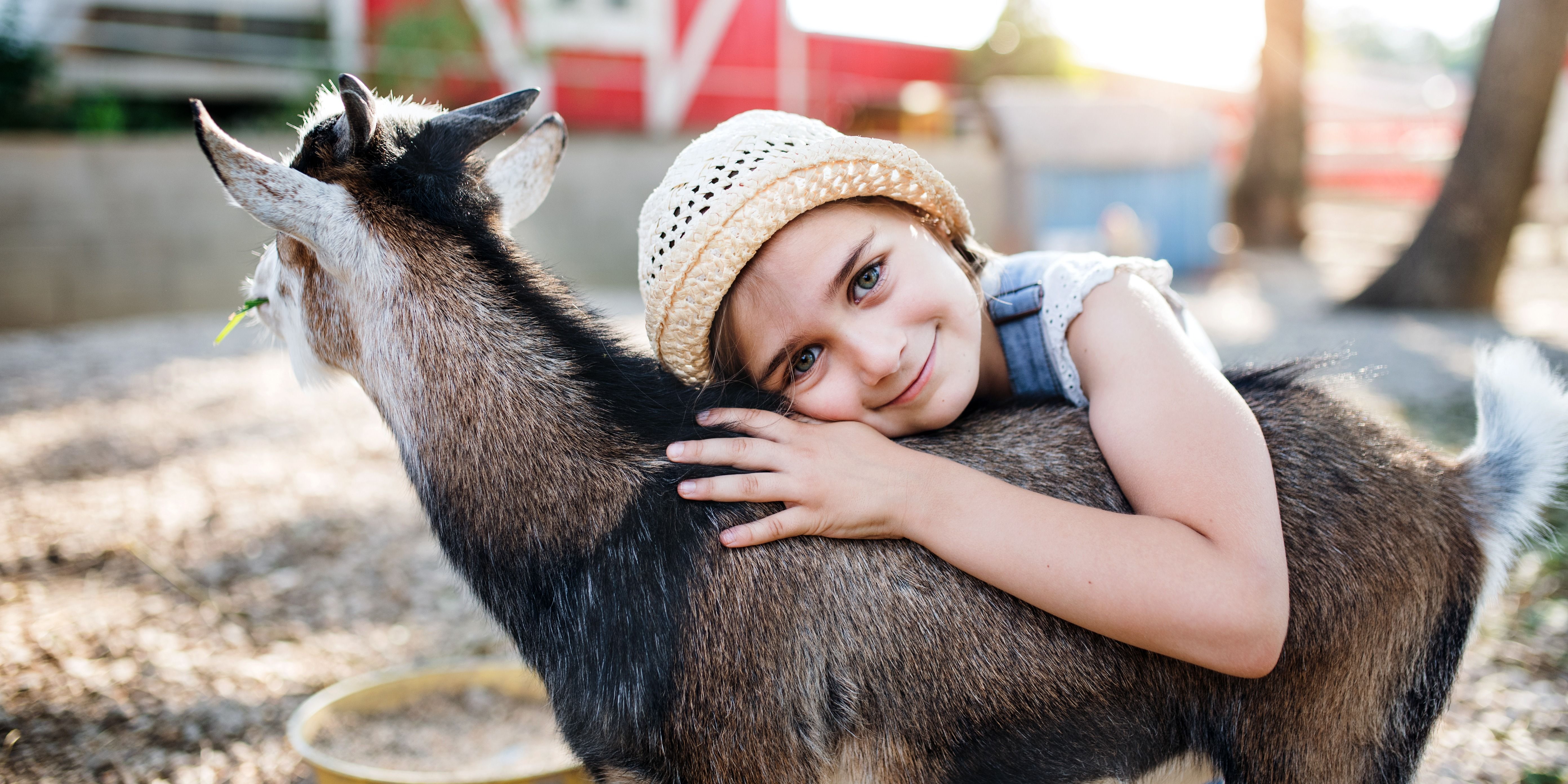13 Animal Videos for PreK-3 Students
