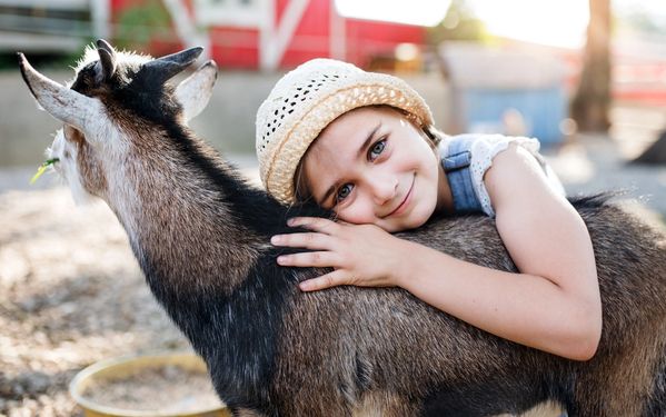 13 Animal Videos for PreK-3 Students