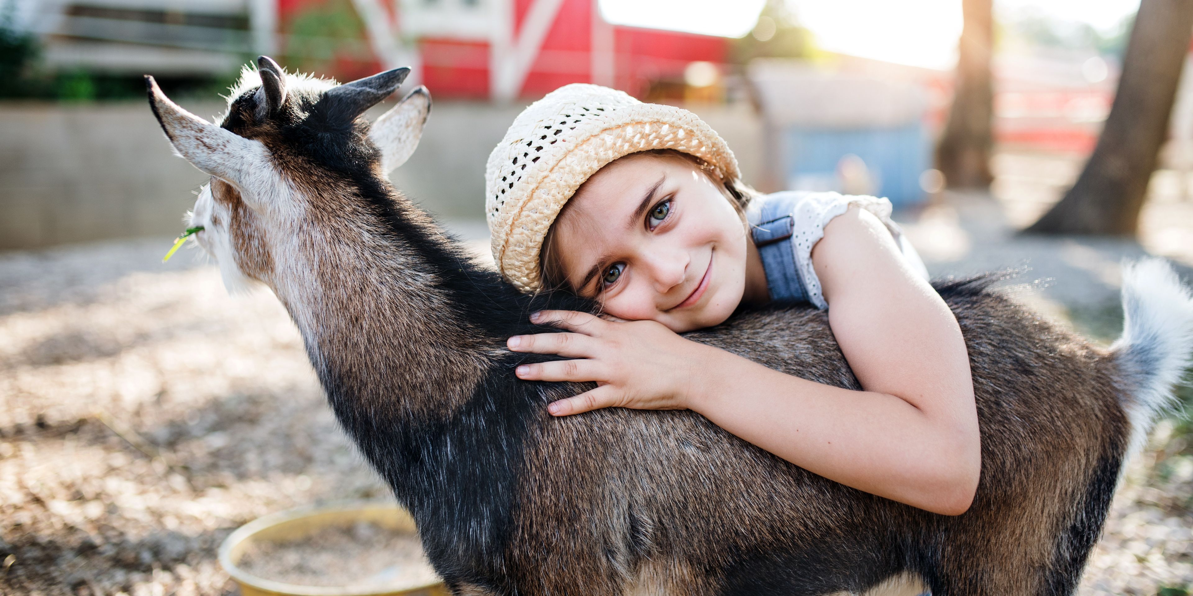 13 Animal Videos for PreK-3 Students
