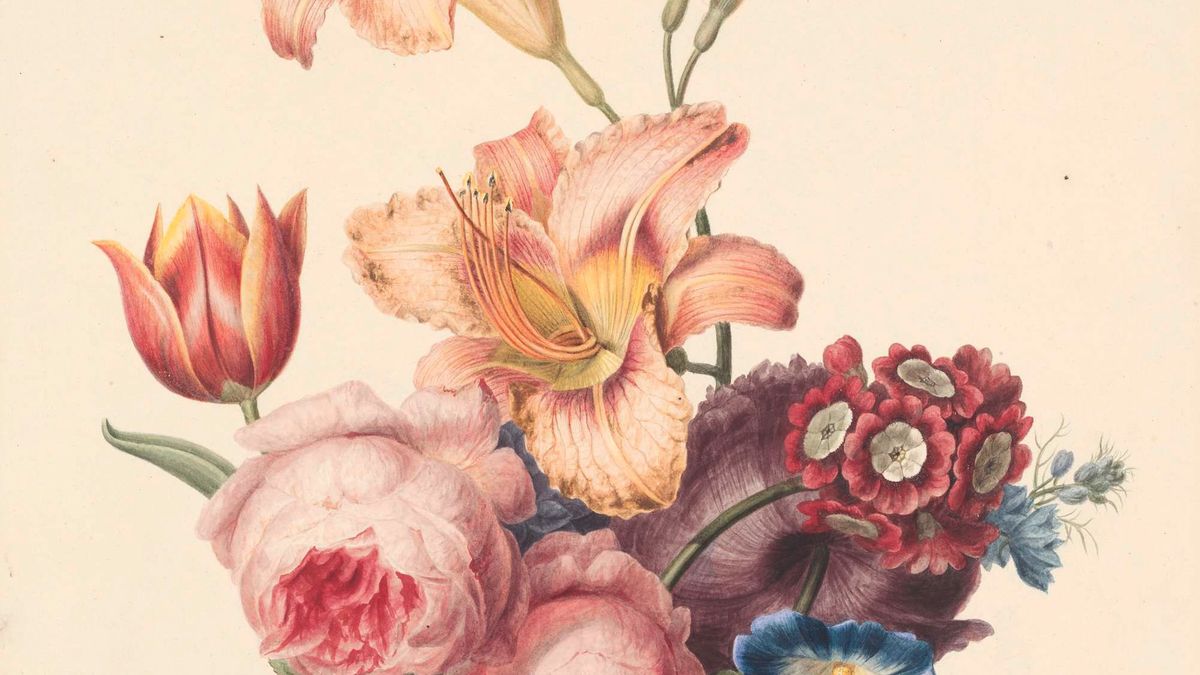 Picture of CSS code in editor