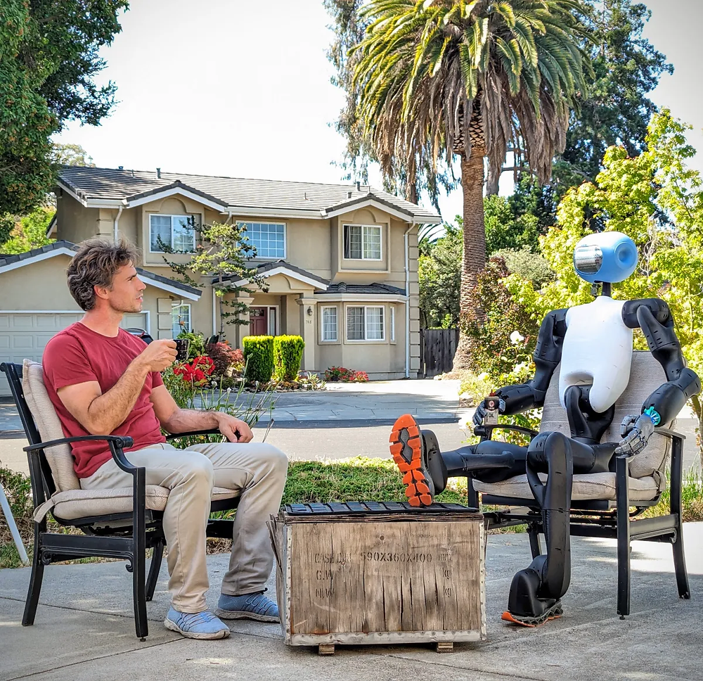 Humanoid Robots: From Garage to Living Room