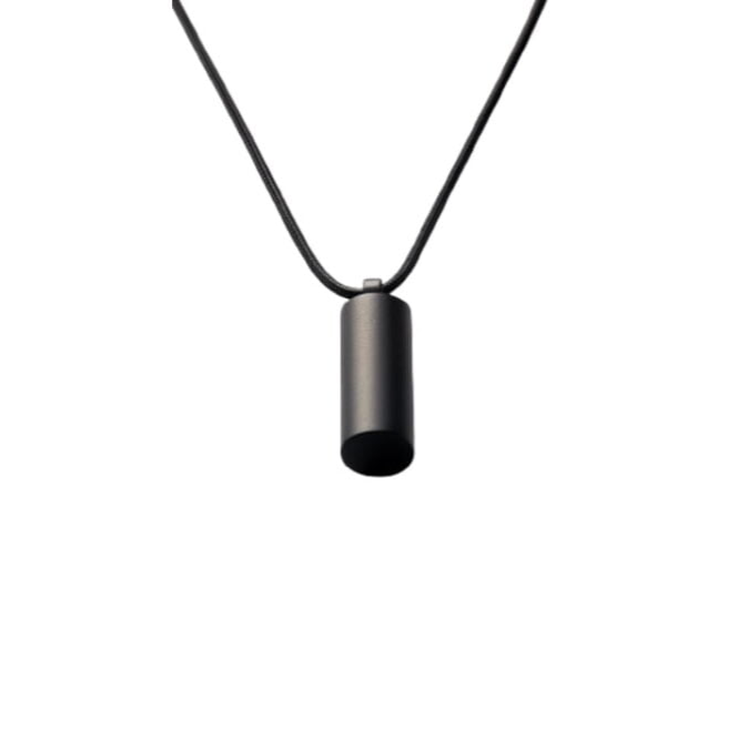 Rewind Pendant: Your Personal Conversation Recorder