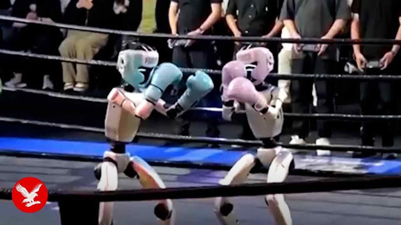 VoW: Robot Kickboxing!
