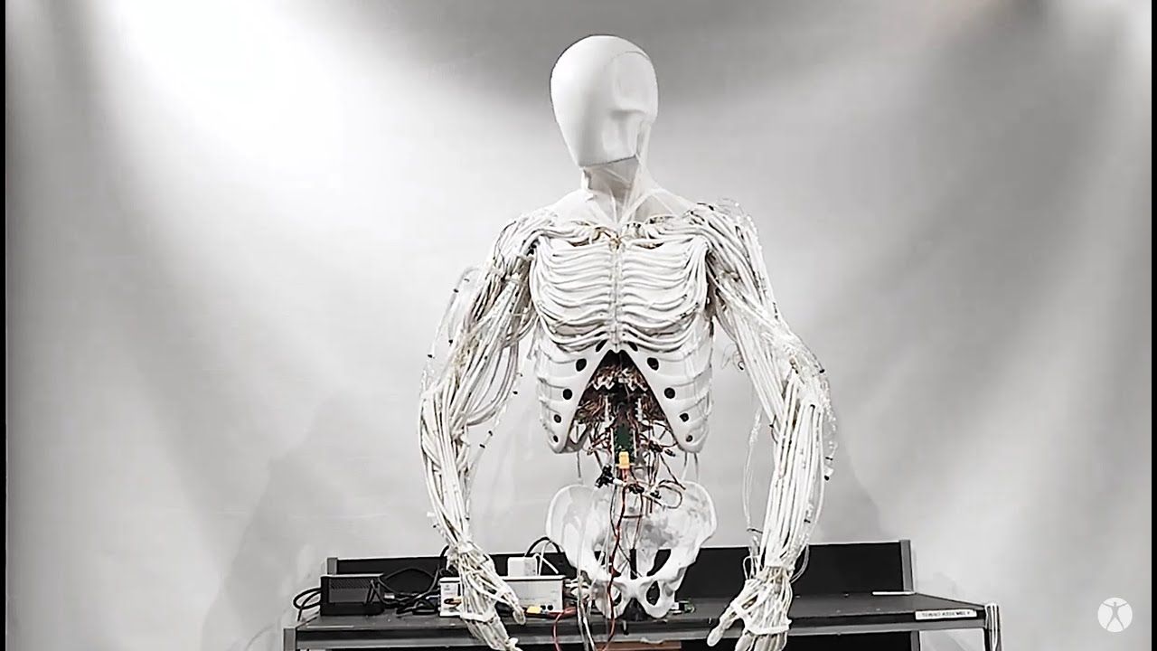 Video of the Week: Torso by Clone