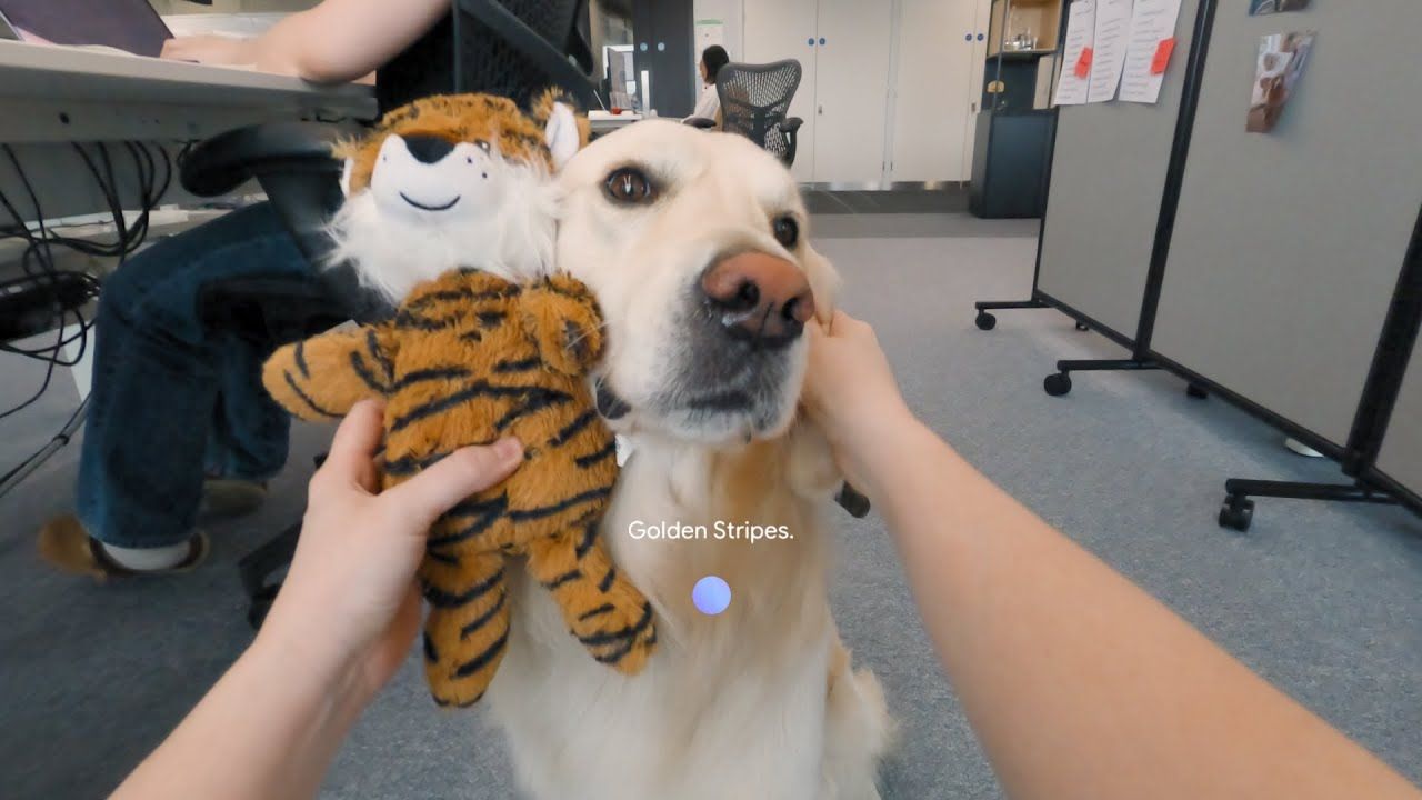 VIDEO OF THE WEEK: Google Astra Project