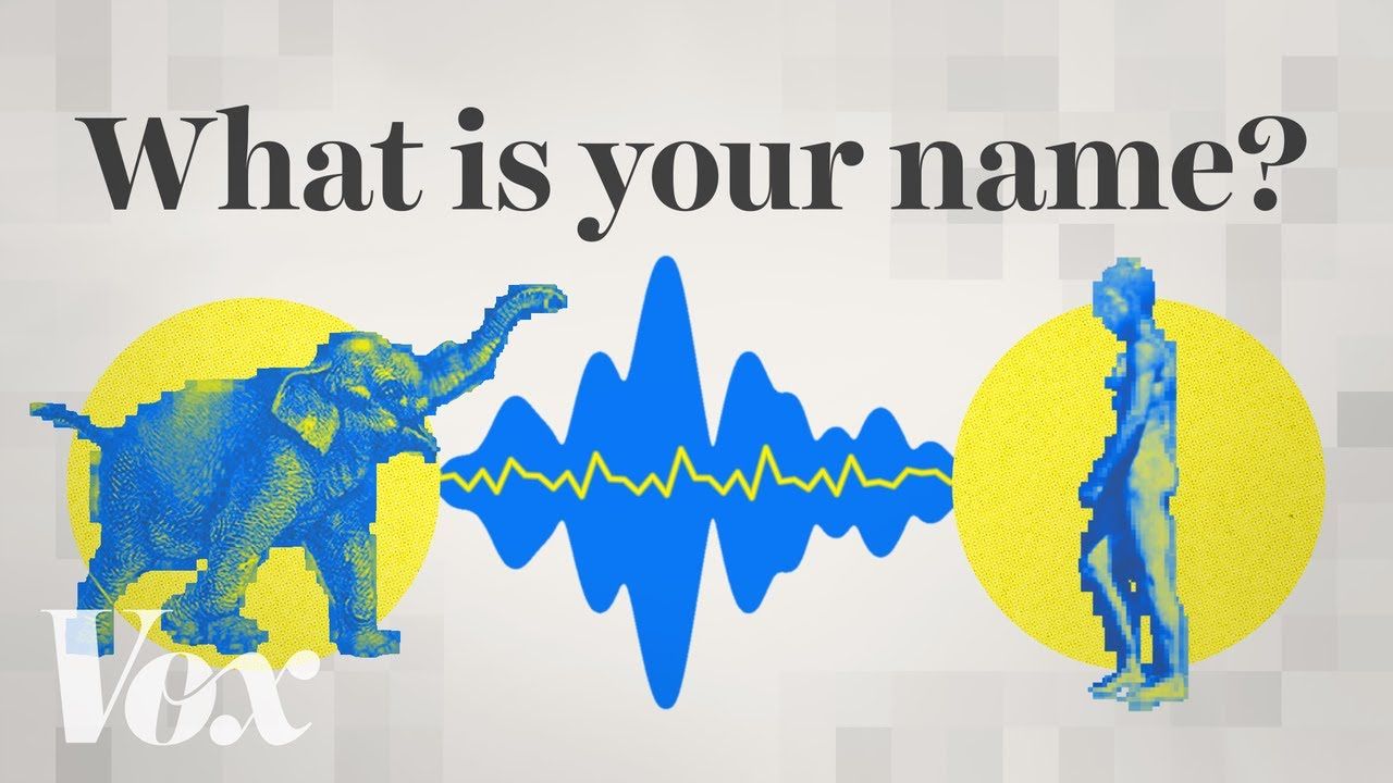 Video of the Week: Talking to the Animals