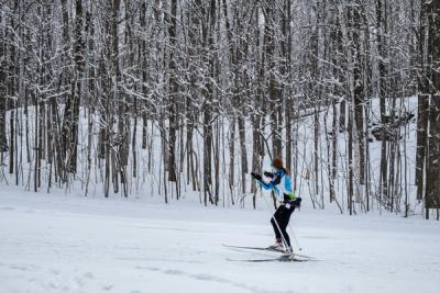 Cross country skier on a track next to the forest