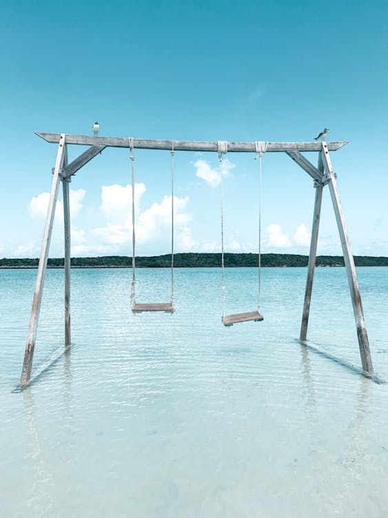 2 seat driftwood swing in the ocean shallows